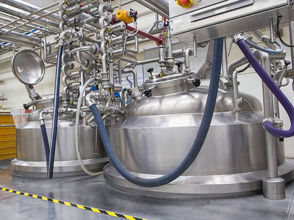 Several food rubber hoses are transferring milk.